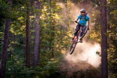 Forest is the perfect playground