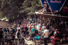 Divjina Wild Ride 2013